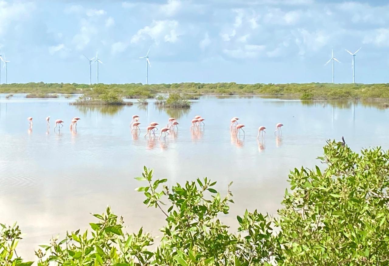 La Casa Del Mangle Villa Pueblo Pueblo Chicxulub Екстериор снимка