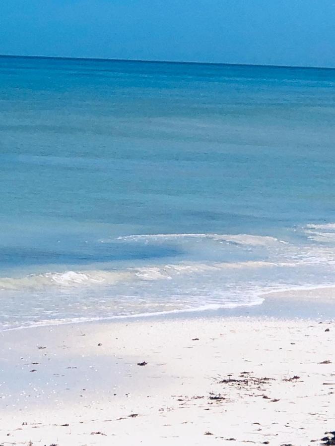 La Casa Del Mangle Villa Pueblo Pueblo Chicxulub Екстериор снимка